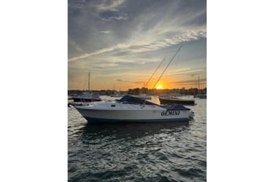 BOATZON | Blackfin 29 Combi 1986