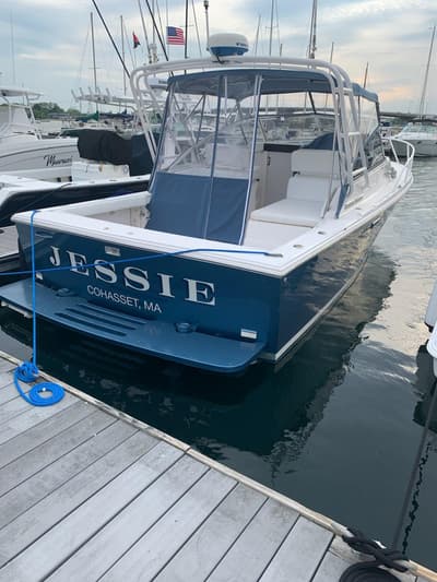 BOATZON | Blackfin 29 Combi 1995