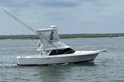 BOATZON | Blackfin 29 Flybridge 1988
