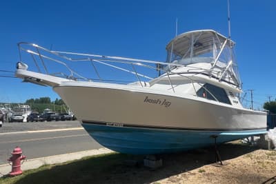 BOATZON | Blackfin 29 Flybridge 1988