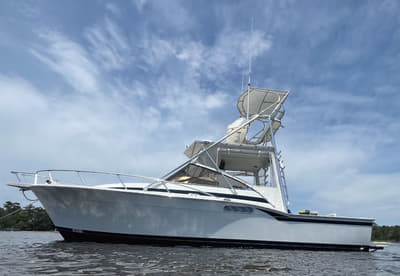 BOATZON | Blackfin 31 Combi 1993