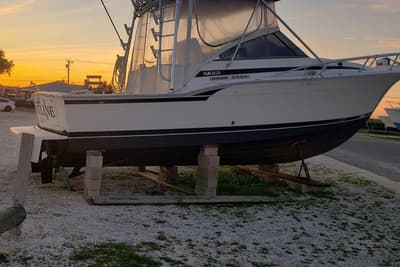 BOATZON | Blackfin 31 Combi 1995 BOATZON | Blackfin 31 Combi 1995
