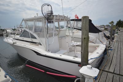 BOATZON | Blackfin 31 Combi 1995 BOATZON | Blackfin 31 Combi 1995