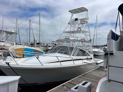 BOATZON | Blackfin 31 Combi 1997 BOATZON | Blackfin 31 Combi 1997
