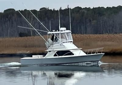 BOATZON | Blackfin 32 Flybridge 1983