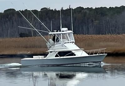 BOATZON | Blackfin 32 Flybridge 1986