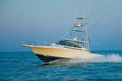 BOATZON | Blackfin 38 Combi 1993