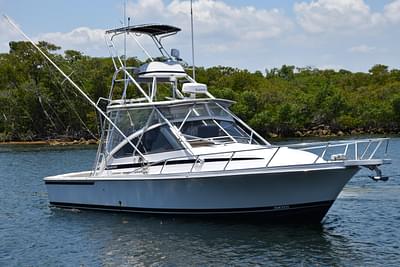 BOATZON | Blackfin Combi 33 1995 BOATZON | Blackfin Combi 33 1995