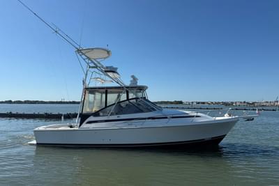 BOATZON | Blackfin Combi 33 1997
