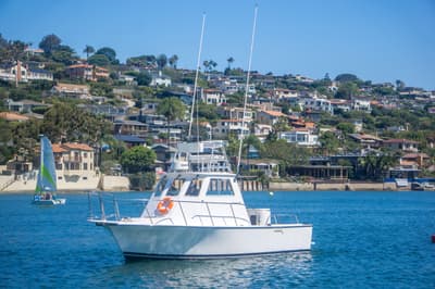 BOATZON | Blackman Pilothouse 2009