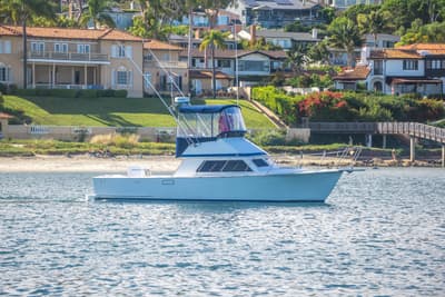 BOATZON | Blackman Sportfisher 32 1996