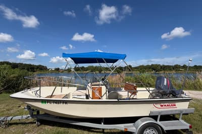 BOATZON | Boston Whaler 17 Montauk 1987
