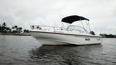 BOATZON | Boston Whaler 20 Ventura 1998