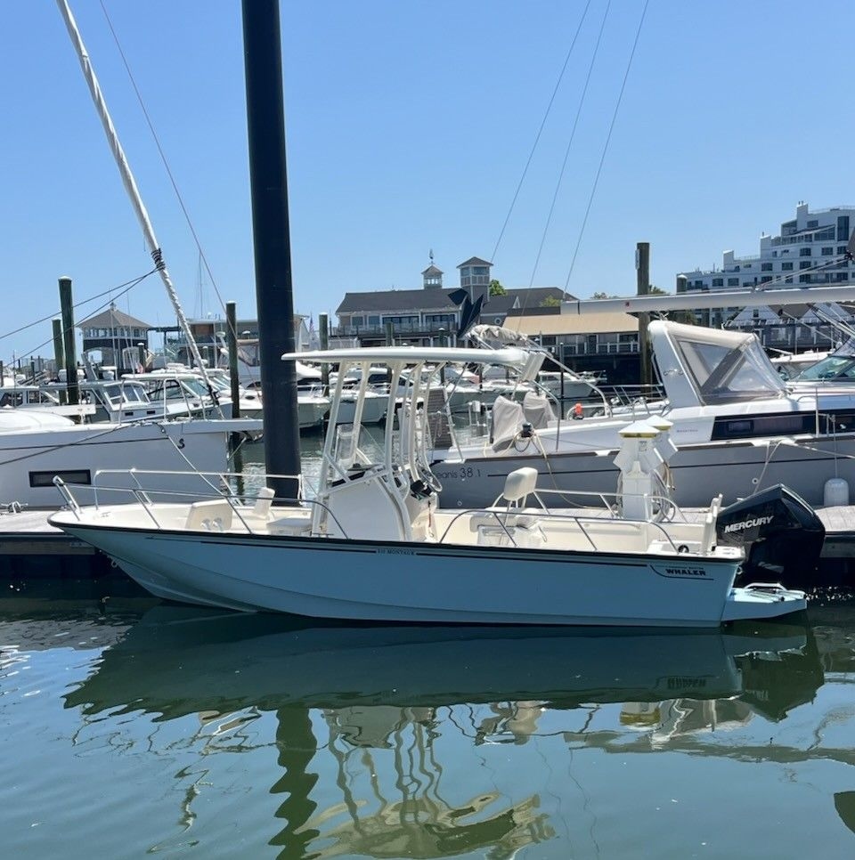 2025 Boston Whaler 210 Montauk - Sold Boat
