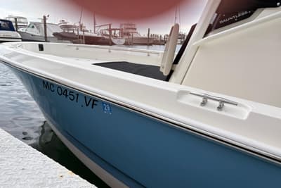BOATZON | Boston Whaler 22 Dauntless 2026 BOATZON | Boston Whaler 22 Dauntless 2026