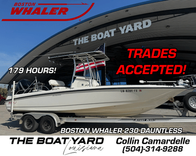 BOATZON | Boston Whaler 230 Dauntless 2011
