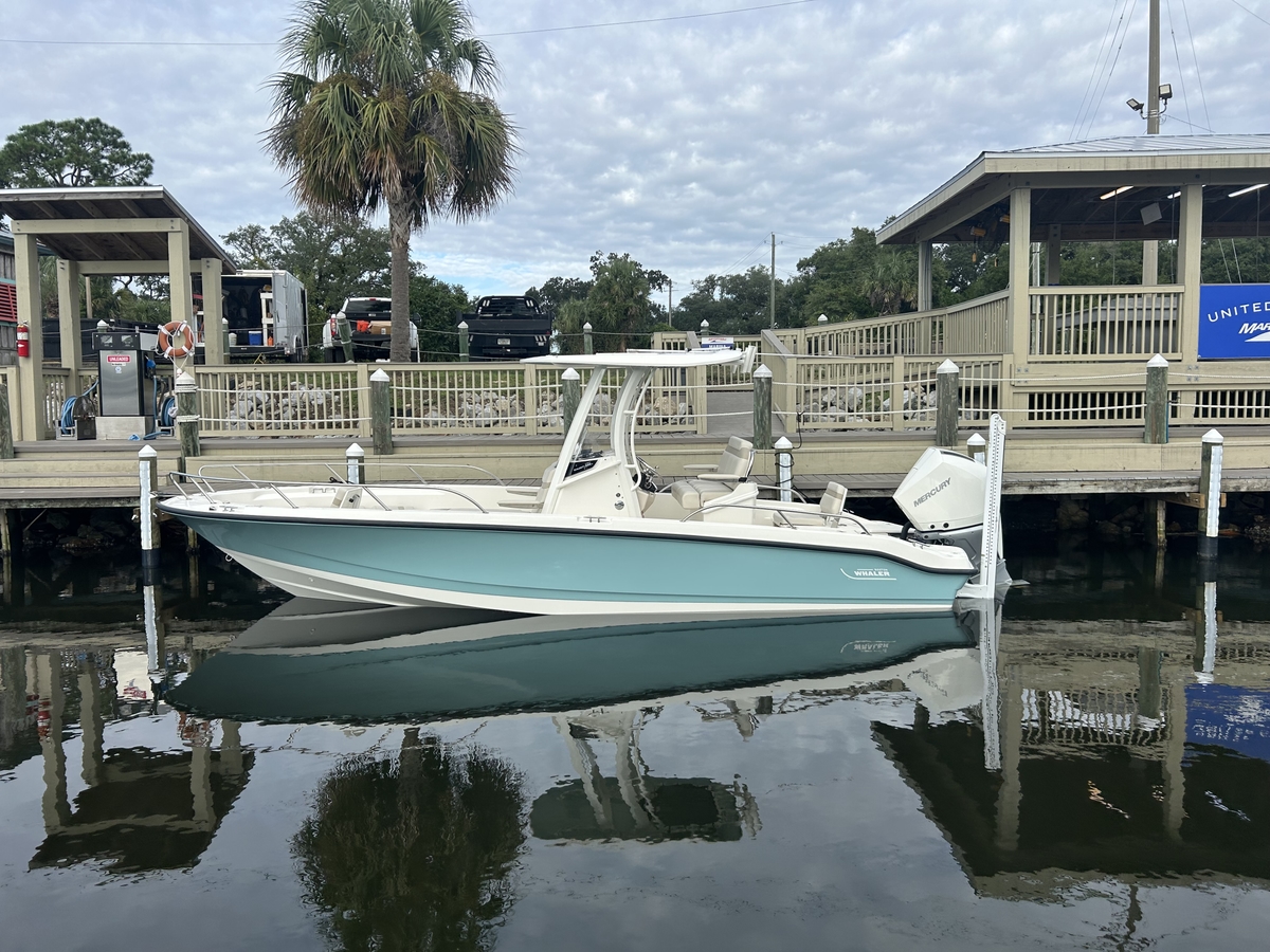 2024 Boston Whaler 250 DAUNTLESS - Sold Boat