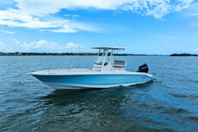 BOATZON | Boston Whaler 250 DAUNTLESS 2024 BOATZON | Boston Whaler 250 DAUNTLESS 2024