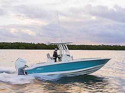 BOATZON | Boston Whaler 250 Dauntless 2025