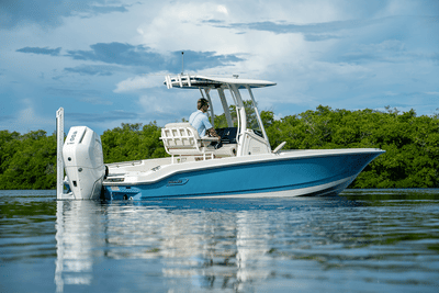 BOATZON | Boston Whaler 250 Dauntless 2026