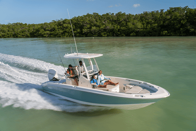 BOATZON | Boston Whaler 250 Dauntless 2026 BOATZON | Boston Whaler 250 Dauntless 2026