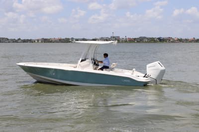 BOATZON | Boston Whaler 250 Dauntless 2026