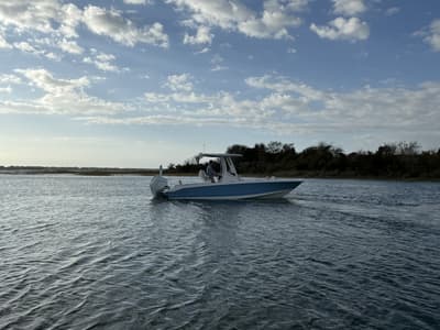 BOATZON | Boston Whaler 250 Dauntless 2026