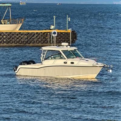 BOATZON | Boston Whaler 315 Conquest 2013 BOATZON | Boston Whaler 315 Conquest 2013