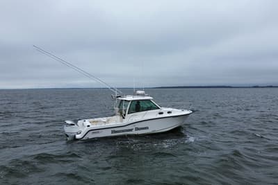 BOATZON | Boston Whaler 315 Conquest 2016 BOATZON | Boston Whaler 315 Conquest 2016