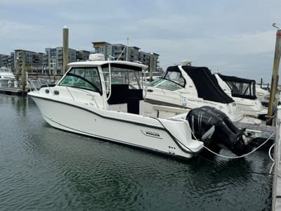 BOATZON | Boston Whaler 315 CONQUEST 2016
