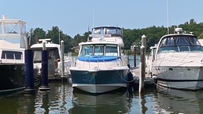 BOATZON | Boston Whaler 345 CONQUEST 2018