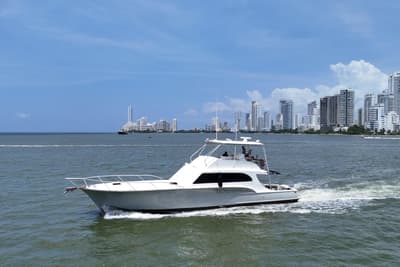 BOATZON | Buddy Davis 61 Convertible 1989