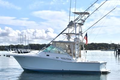 BOATZON | Cabo 31 Express 2000