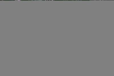 thumbail-icon