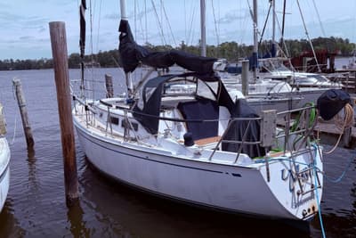 BOATZON | CAL 31 1981