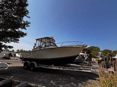 BOATZON | Carolina Classic 25 1999