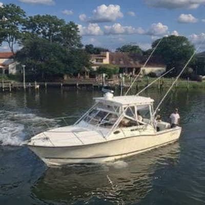BOATZON | Carolina Classic 28 2004