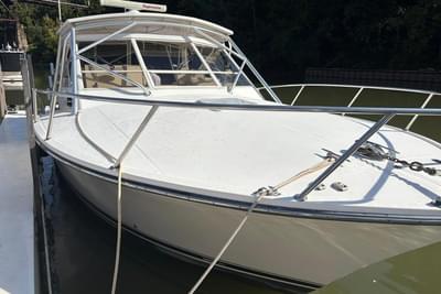 BOATZON | Carolina Classic 32 2006