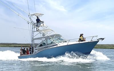 BOATZON | Carolina Classic 32 2009