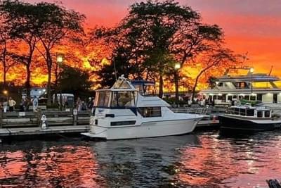 BOATZON | Carver 350 1994