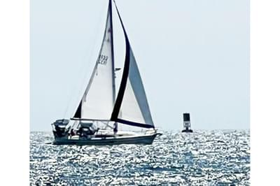 BOATZON | Catalina 320 MkII 2008