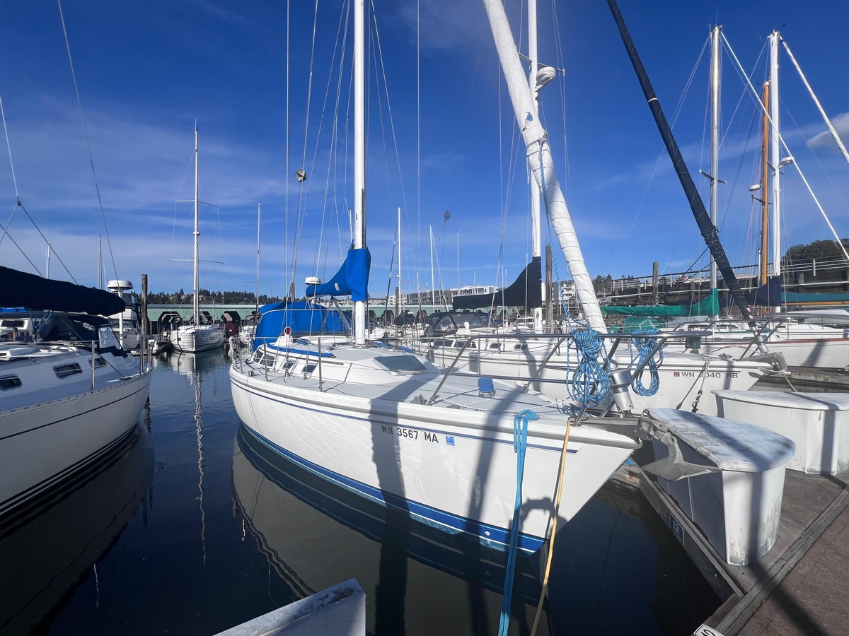 1989 Catalina 36 - Sold Boat