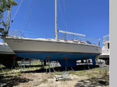 BOATZON | Catalina 42  3 Cabin 1990