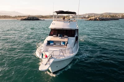 BOATZON | Chris-Craft 501 Constellation 1989