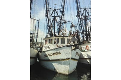 BOATZON | Commercial FREEZER SHRIMP TRAWLER 1987