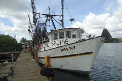 BOATZON | Commercial Shrimp Trawler 1973 BOATZON | Commercial Shrimp Trawler 1973