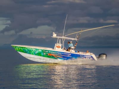 BOATZON | Contender 35ST 2026 BOATZON | Contender 35ST 2026