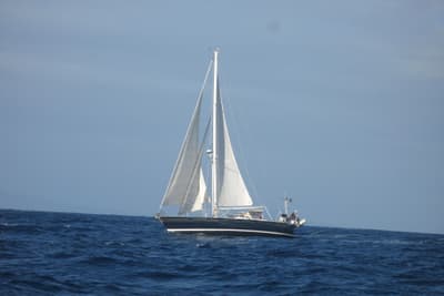 BOATZON | Contest 4648 1996