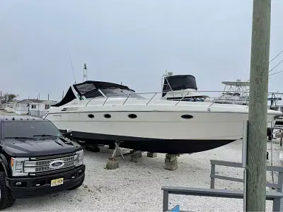BOATZON | Cranchi 1995 BOATZON | Cranchi 1995
