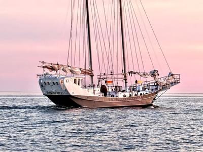 BOATZON | custom 1990